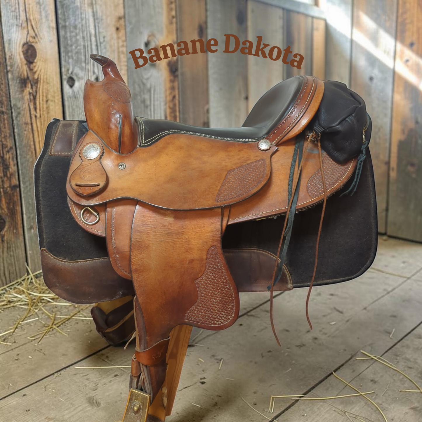 Banane "Dakota"Black