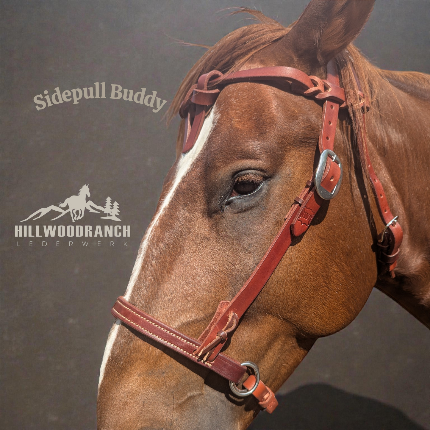 Sidepull Riemen zum einschnallen in die Trense