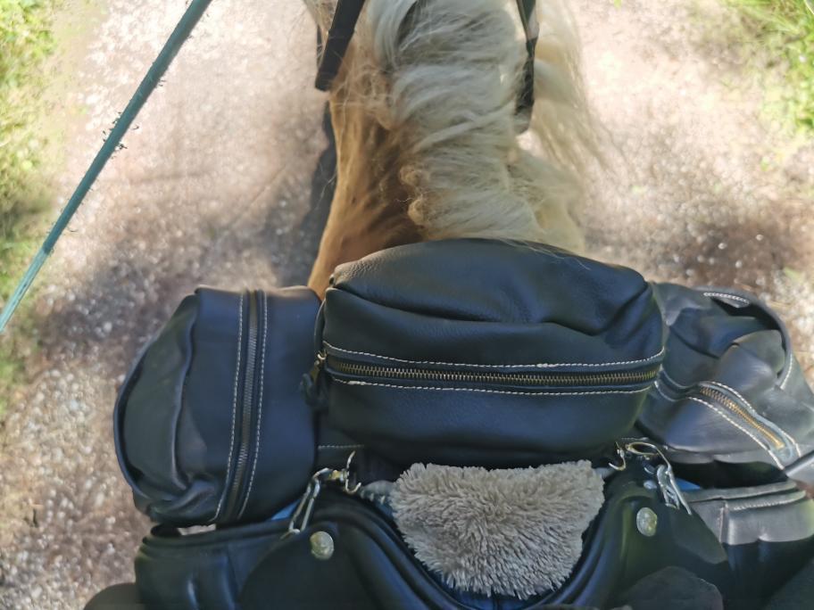 Doppelte Satteltasche "Kalifornien"
