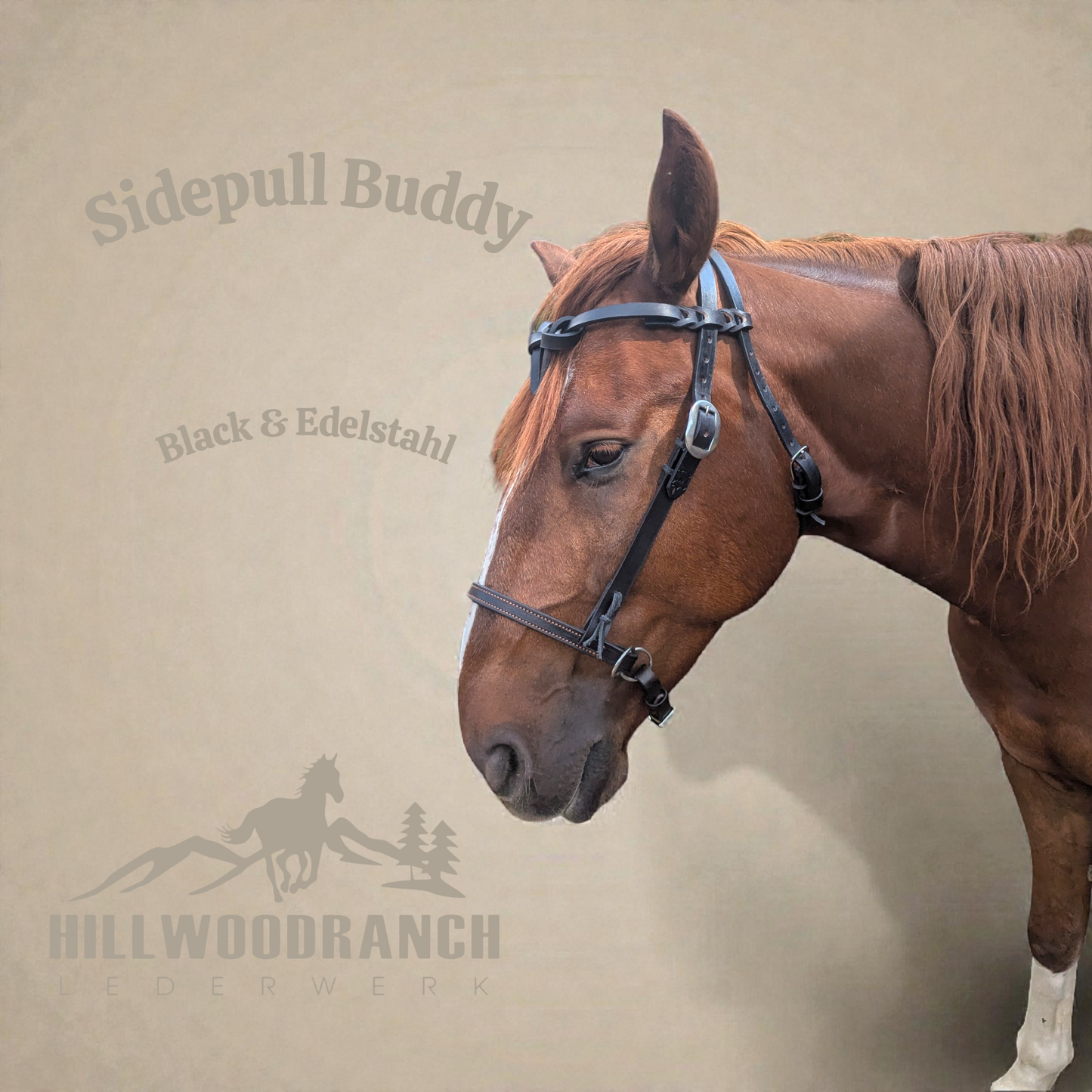 Sidepull "Buddy"