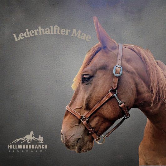 Personalisiertes Lederhalfter "Mae"