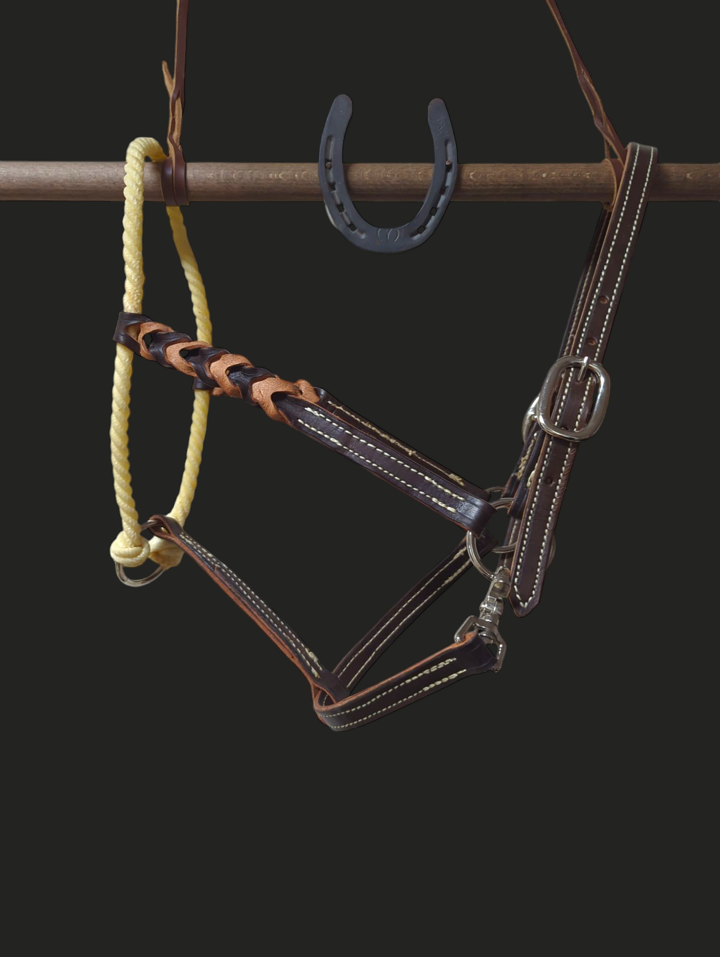 Lederhalfter mit Lasso