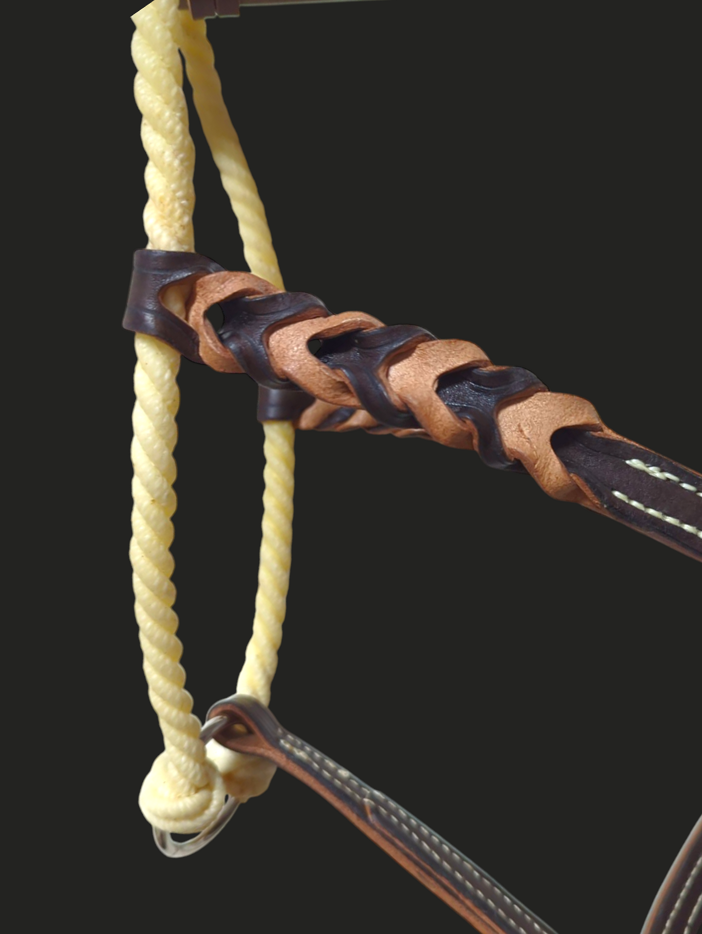 Lederhalfter mit Lasso