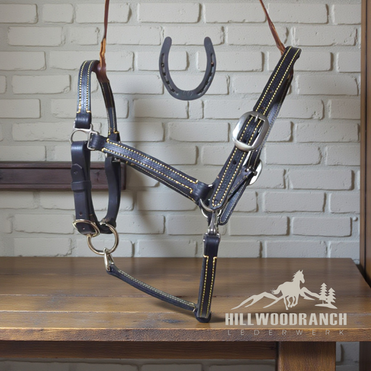 Lederhalfter Schwarz Gr. Cob