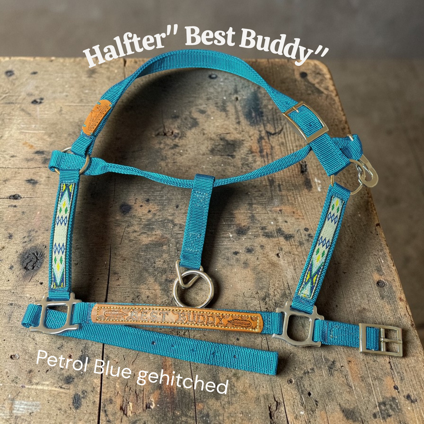 Nylonhalfter "Best Buddy"