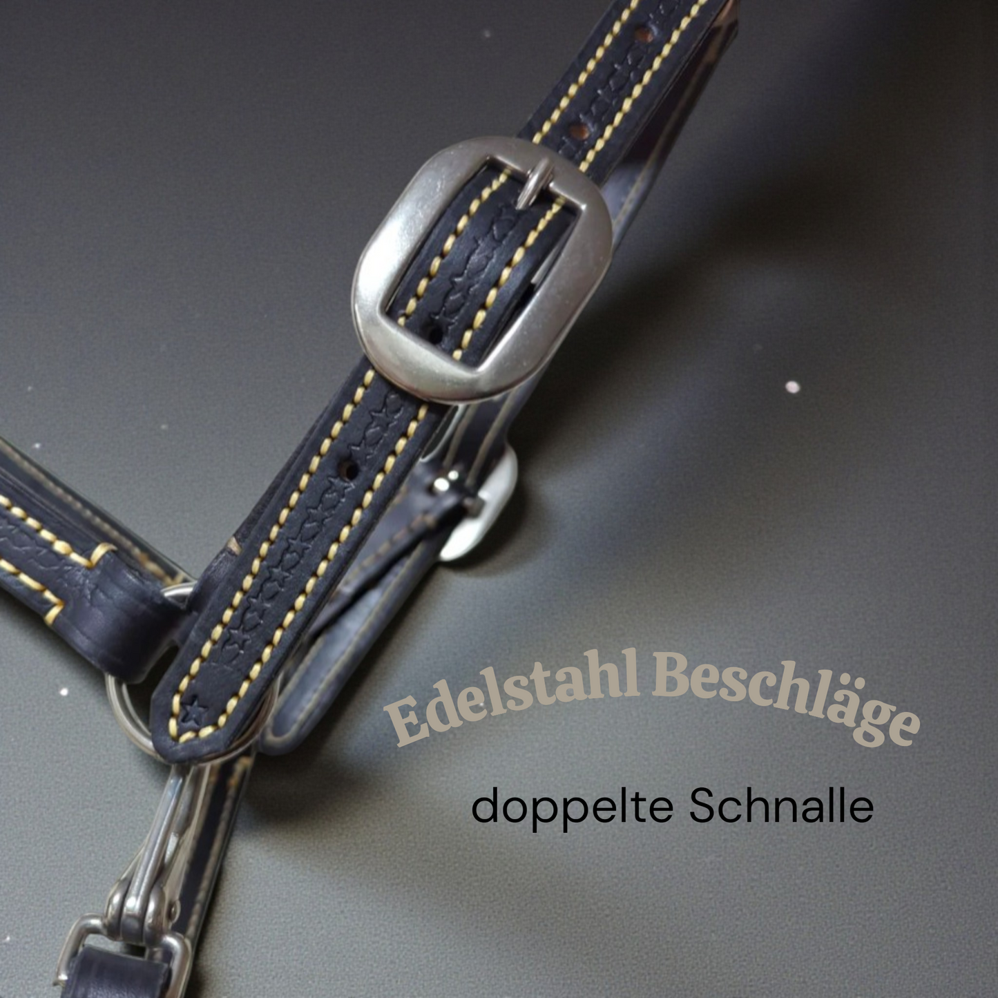 Lederhalfter Schwarz Gr. Cob