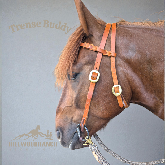 Trense "Buddy"